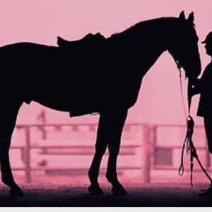 PB TEEN FABRIC WALL MURAL EQUESTRIAN